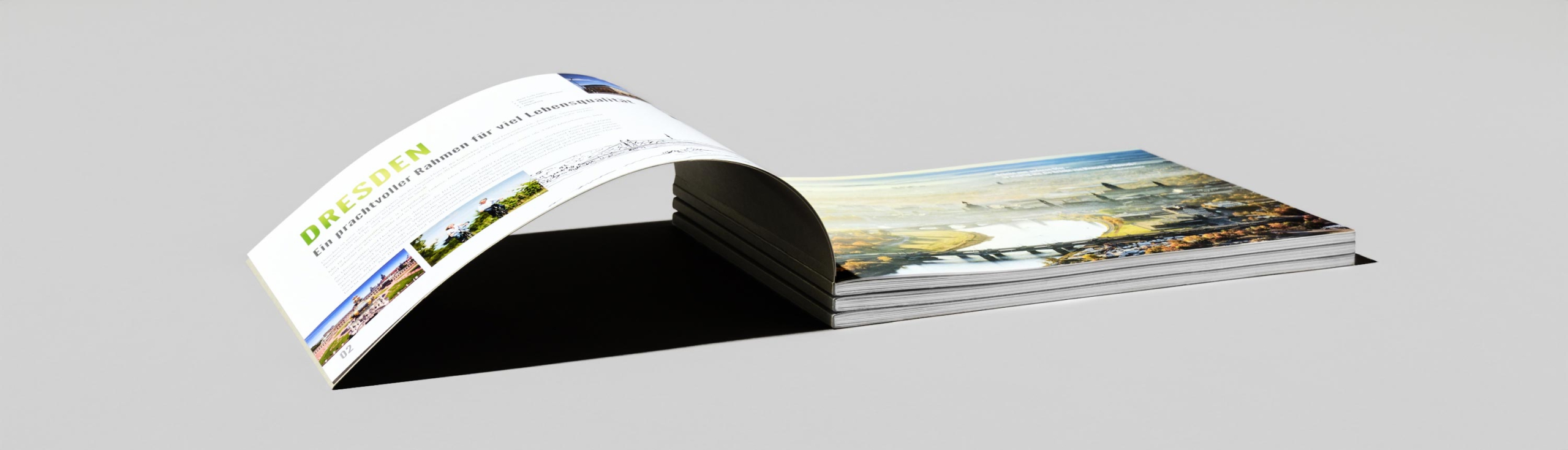 Softcover